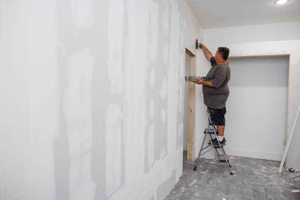 Best Drywall Sanding and Smoothing  in Hitchcock, TX