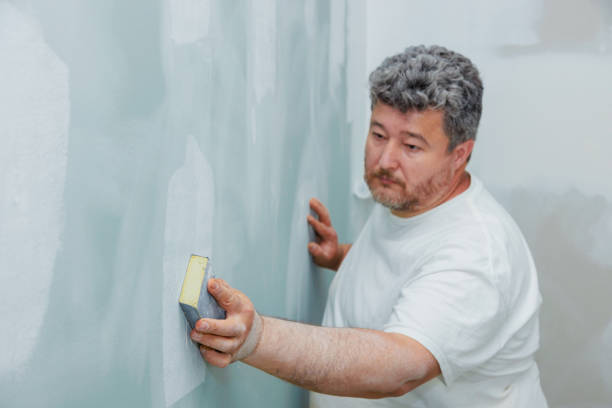 Best Ceiling Drywall Installation  in Hitchcock, TX